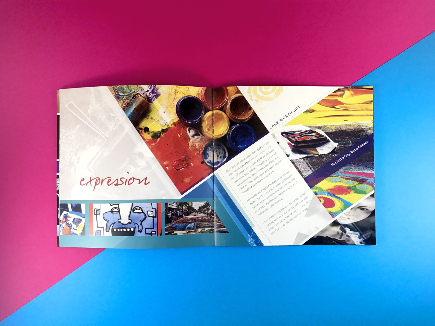 A die-cut brochure open on a pink and blue field