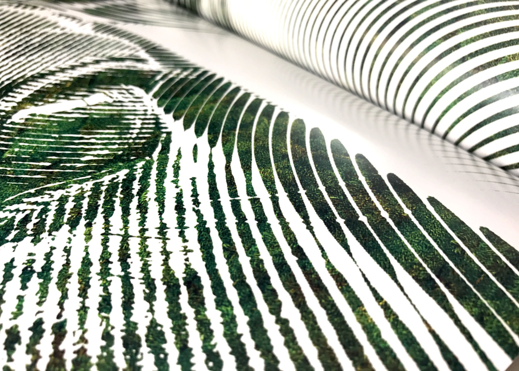 Printed sheets curling off the press, the halftone dot visible in the ink